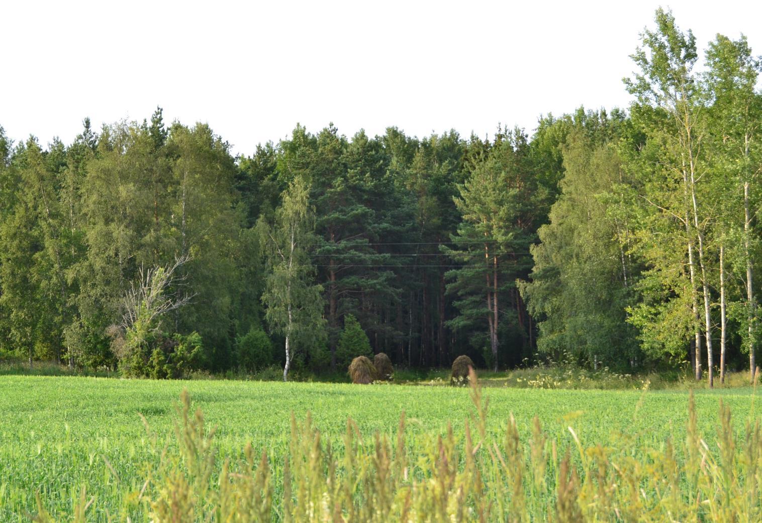 Aukkoisuus, nykyinen maankäyttö?