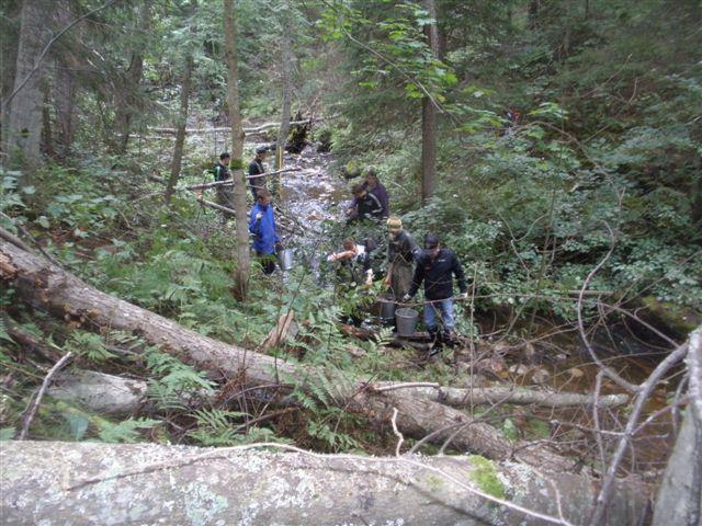 Risulanojaa on sähkökoekalastettu vuodesta 2009 lähtien Jokioisten osakaskunnan toimesta (Ranta & Mäkinen 2014e) (kuva 45).