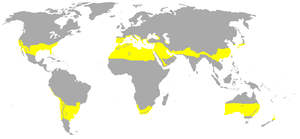 Eteläisellä pallonpuoliskolla subtrooppisia maita ovat Etelä-Afrikka, Etelä-Amerikassa Argentiinan ja Chilen pohjoisosat, sekä Uruguay ja suuri osa Australiaa.