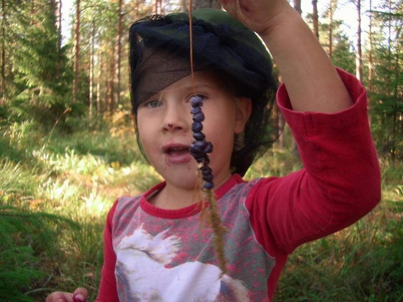 Parikka-Nihti 30.