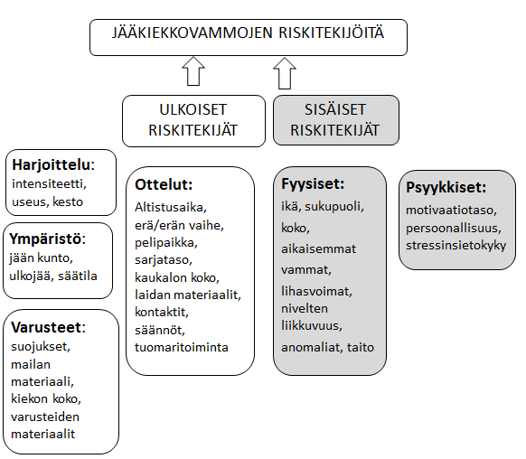 19 4.2 Vammojen riskitekijöitä Mölsä (2004) kuvailee väitöskirjassaan tutkittuja jääkiekkovammoihin vaikuttavia ulkoisia ja sisäisiä riskitekijöitä.