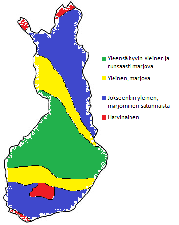 6 2 KIRJALLISUUSKATSAUS Mesimrj (Ruus rcticus L.) kuuluu vtukoiden suvun Cylctis-lsukuun j ruusuksvien Roscee-heimoon (Moore j Cldwell 1985).