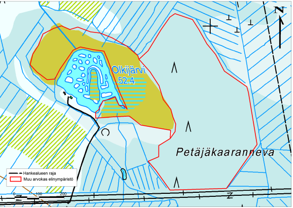 Kangastuuli Oy 7 Kuva 2. Olkijärven länsirannan märkää luhtanevaa (ylävas.