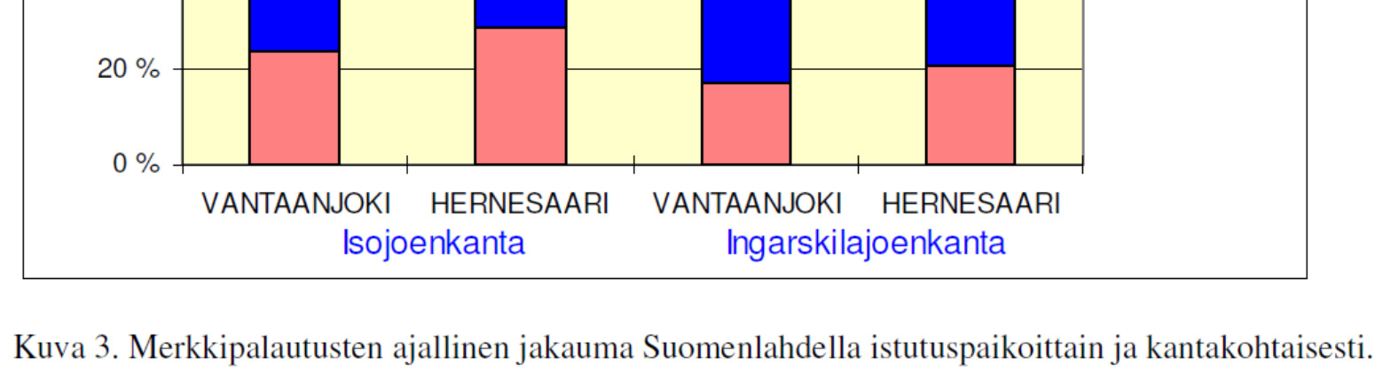 Vapauttaminen avomeren ääreen Hernesaaren kupeeseen ei stimuloinut Ingarskilanjoen taimenia jättämään rantavesiä.