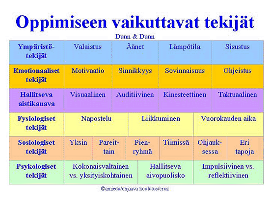 19 konkreettinen kokija pohdiskeleva havainnoija abstrakti käsitteellistäjä.