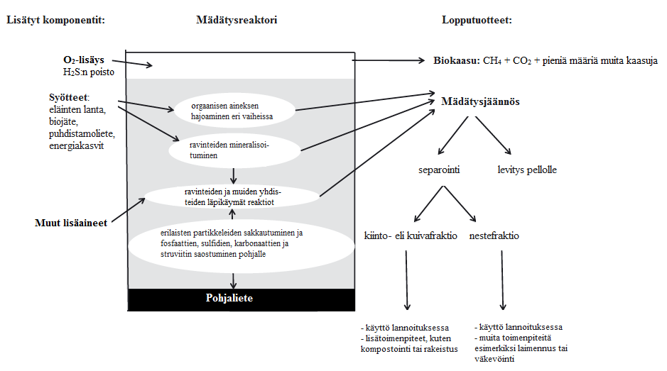 21 Kuva 1. Mädätysprosessi ja materiaalivirrat (muokattu lähteestä Möller ja Müller 2012, 243). Biokaasulaitoksen syötteelle on olemassa tietty kuiva-aine eli TS-pitoisuuden (engl.