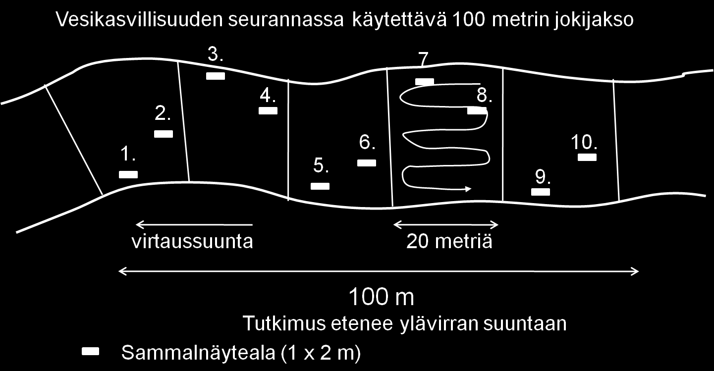 11 Kuva 3. Yksittäinen jokijakso jaetaan 20 metrin pituisiin osa-alueisiin. Jokijaksolle sijoitetaan kymmenen sammalnäytealaa kuvan esittämällä tavalla.