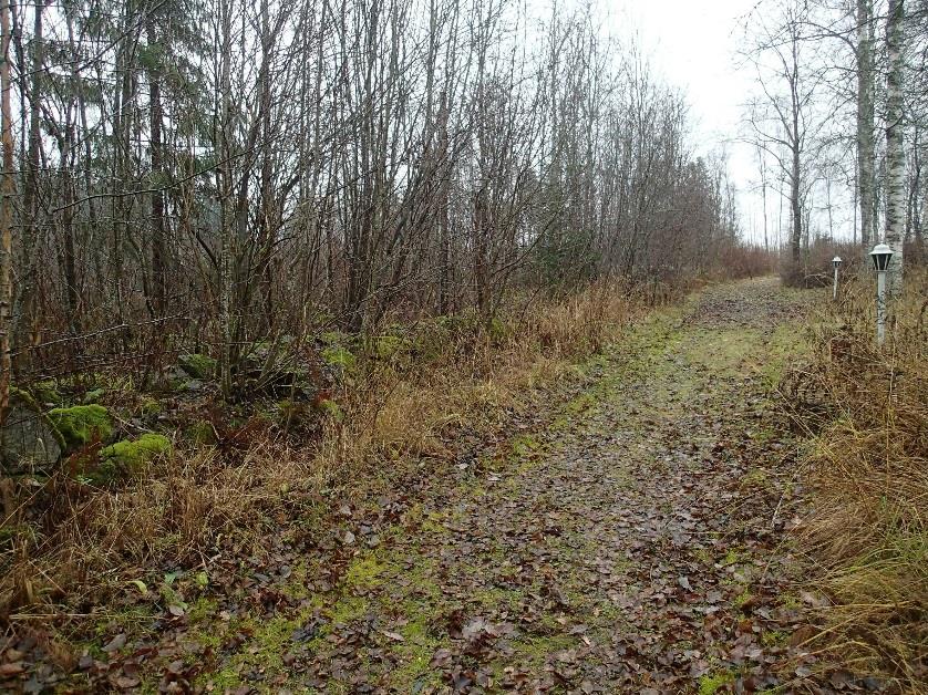 Rajaukseen on sisällytetty molemman havaitut lohkokivirakenteet, kosken ylittävä ja käytössä oleva patorakennelma (ei mj.) sekä osia rannasta molemmin puolin koskea.