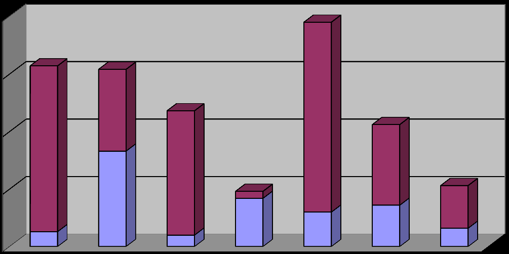 Henkilöä Liite 6 Työllisyyden hoitovaroin palkatun henkilöstön määrä 31.12.