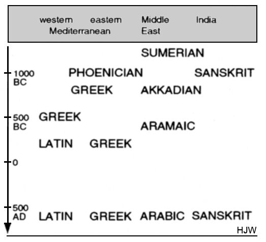 lingua