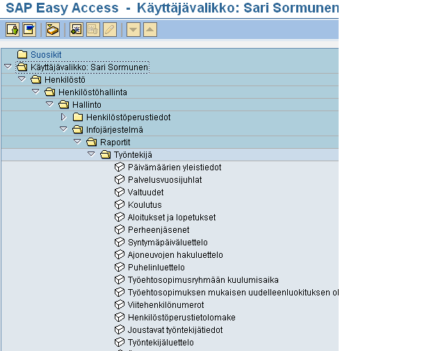 Henkilöstöhallinnon raportointi perusjärjestelmissä 22 SAP perusjärjestelmässä on