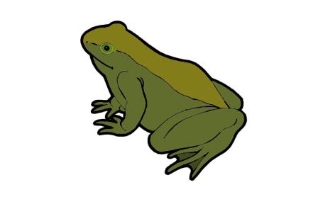 jänis orava karhu