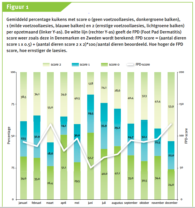 Muut maat: Hollanti Hollantilainen Wageningenin yliopisto toteutti maassa broilerien jalkapohjatutkimuksen 4/2010 3/2011 välisenä aikana Tutkimuksessa noin 70 % maassa