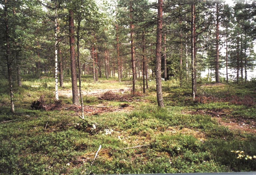 33258, 3 kpl, kvartsi-iskoksia, Jussila T 2002, diar. 23.08.2002, tien pinnasta hautausmaan pohjoispäästä, läheltä vanhaa rantatörmää.
