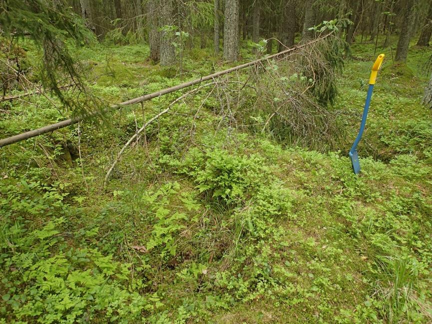 Suunniteltu linja osuu osittain kuoppien päälle sekä ohittaa ne niiden itäpuolelta etäisimmillään noin 20 metrin päästä. Vihreät pallot näyttävät kahden kuopparyhmän kohdat.