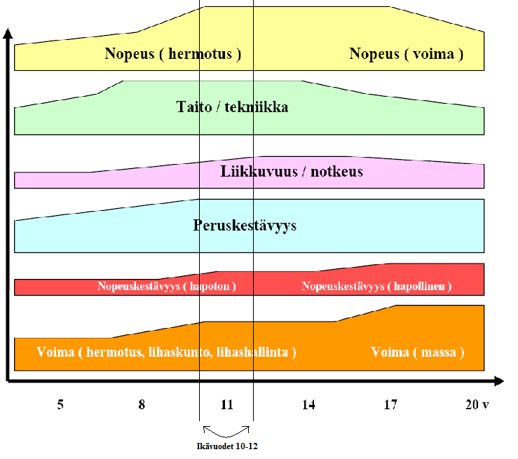 19 Yleisesti hyväksytty tosiasia on se, että lapset eivät ole aikuisten pienoismalleja.