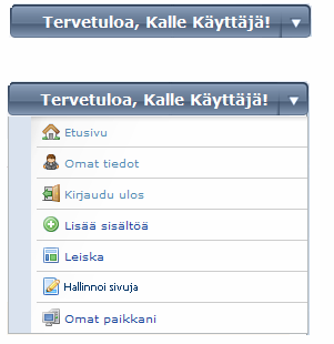 5 (46) Sisällöt ovat erityyppisiä. Yhtiön esittely on sivukohtainen sisältö ja sijaitsee aina tietyssä paikassa navigaatiossa ja tietyssä osoitteessa. Esimerkiksi www.olvi.