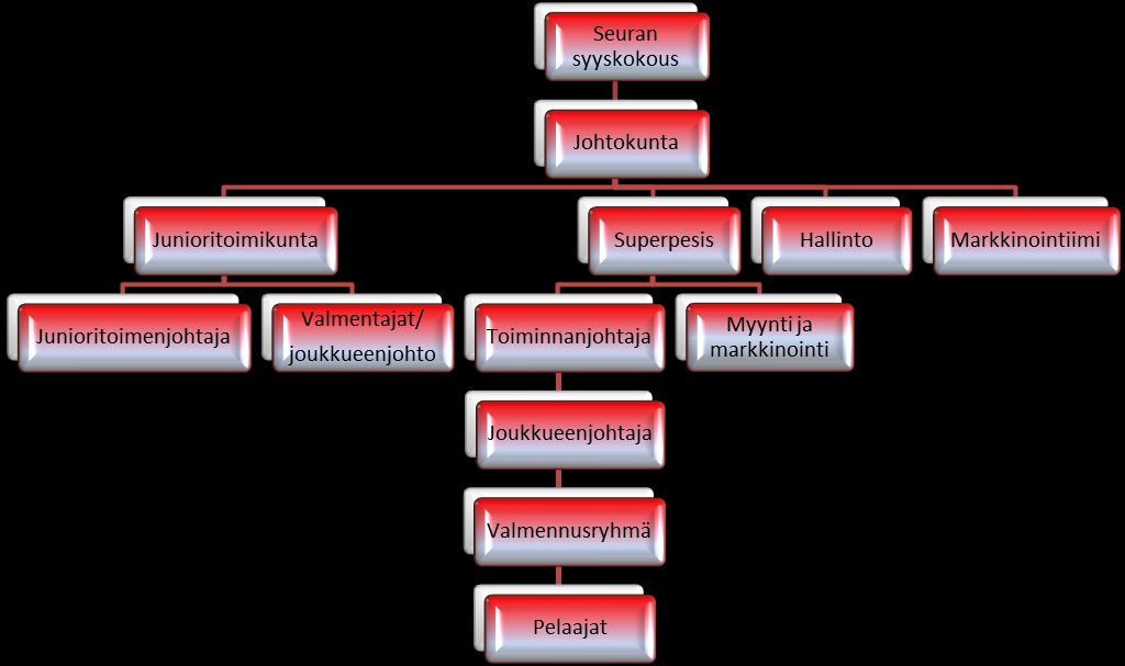 5. ORGANISAATIO 5.1. Organisaatio-kaavio 5.2. Johtokunta Syyskokous valitsee johtokunnan ja seuran puheenjohtajan. Johtokunta järjestäytyy ensimmäisessä kokouksessa.