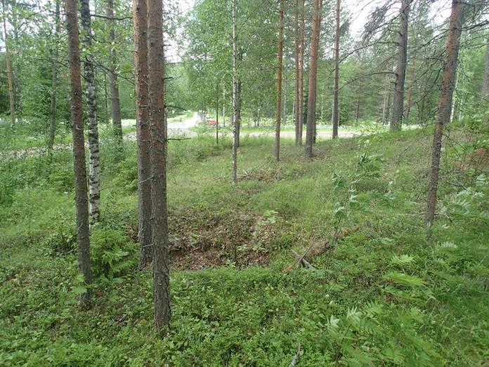 Suunniteltu viemärilinja haarautuu Valliniemen mäen länsipuolella kulkemaan mäen molemmin puolin.