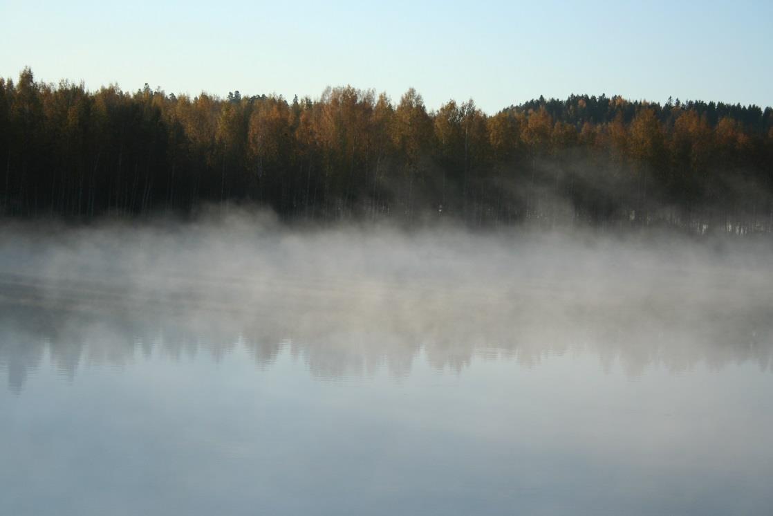 Muita sumutyyppejä (PRFG, BCFG, MIFG) Osittainen sumu (PRFG), jolloin se peittää esimerkiksi vain toisen pään kiitotiestä Sumuhattarat (BCFG), joita voi olla siellä täällä esimerkiksi lentokentän