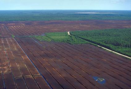 I Tausta CO 2 N2 0 Turvesoita 60 000 ha, josta