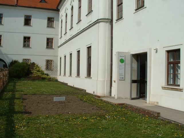 Perinnöllisyyden perusteita Perinnöllisyystieteen isä on augustinolaismunkki Gregor Johann Mendel (1822-1884). Mendel kasvatti herneitä Brnon (nykyisessä Tsekissä) luostarin pihalla.