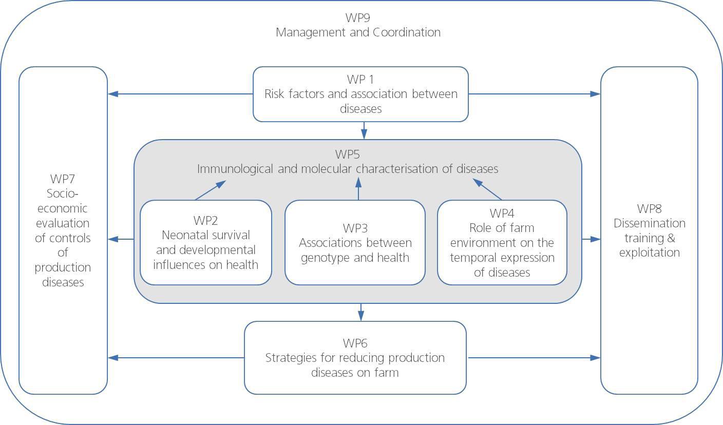 Hankkeessa on yhdeksän osiota WP9. Projektinhallinta ja koordinaatio WP1. Riskitekijät ja tautien väliset yhteydet WP7.