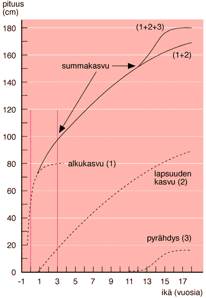 Kasvun vaiheet syntymäpituus n. 50 cm imeväisiän kasvu (1) (0 1 v.) +25 cm lapsuuden kasvu (2) pojat 1 10 v. tytöt 1 8 v.