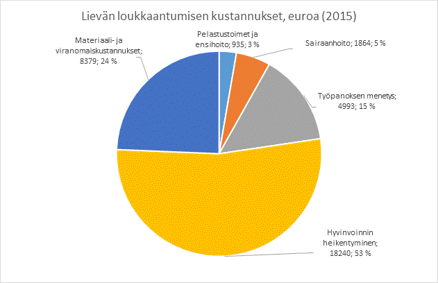 - aineellisen ja aineettoman hyvinvoinnin arvottaminen yhtenä eränä nostaa jälleen hyvinvoinnin arvotuksia; toisaalta henkilövahinkojen uusi luokittaminen aiempia suomalaisia vammaluokkia (etenkin