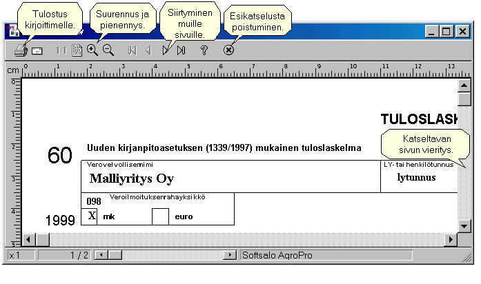 Lomaketulosteiden esikatselu Ohjelman tulostukset voidaan suoraan valita tehtäviksi joko ruudulle (esikatselu), kirjoittimelle tai Pdftiedostoon. Lomake- yms.