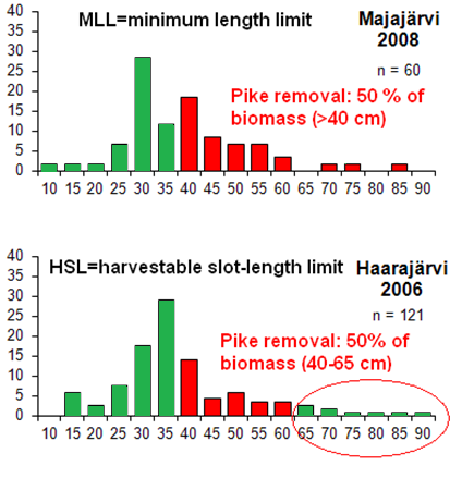 2.4 HAUEN KALASTUKSEN SÄÄTELY Seuranta 2006-2007 ja 2013 Poistopyynti 5 vuotta, 2008-2012 Hokajärvi (8.4 ha) ja Majajärvi (3.