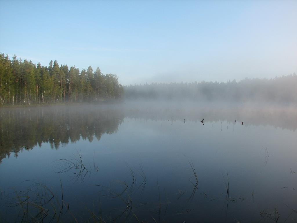 Kiitos!