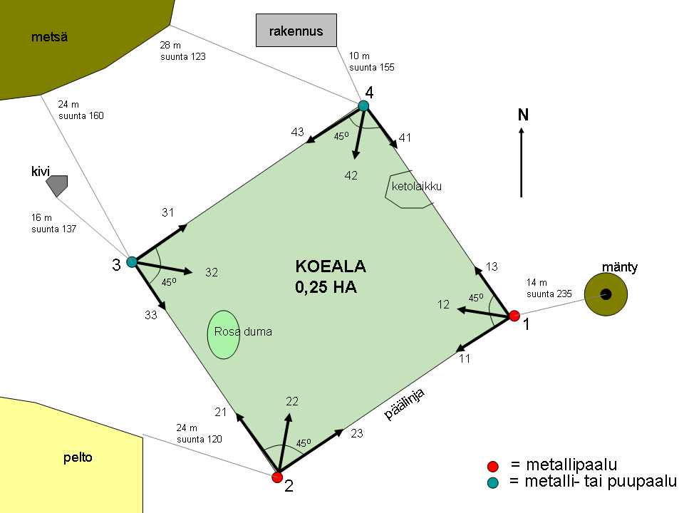 Kuva 8. Koealan merkintä ja valokuvaus. Numeroidut mustat nuolet kulmissa kertovat kuvaussuunnat.