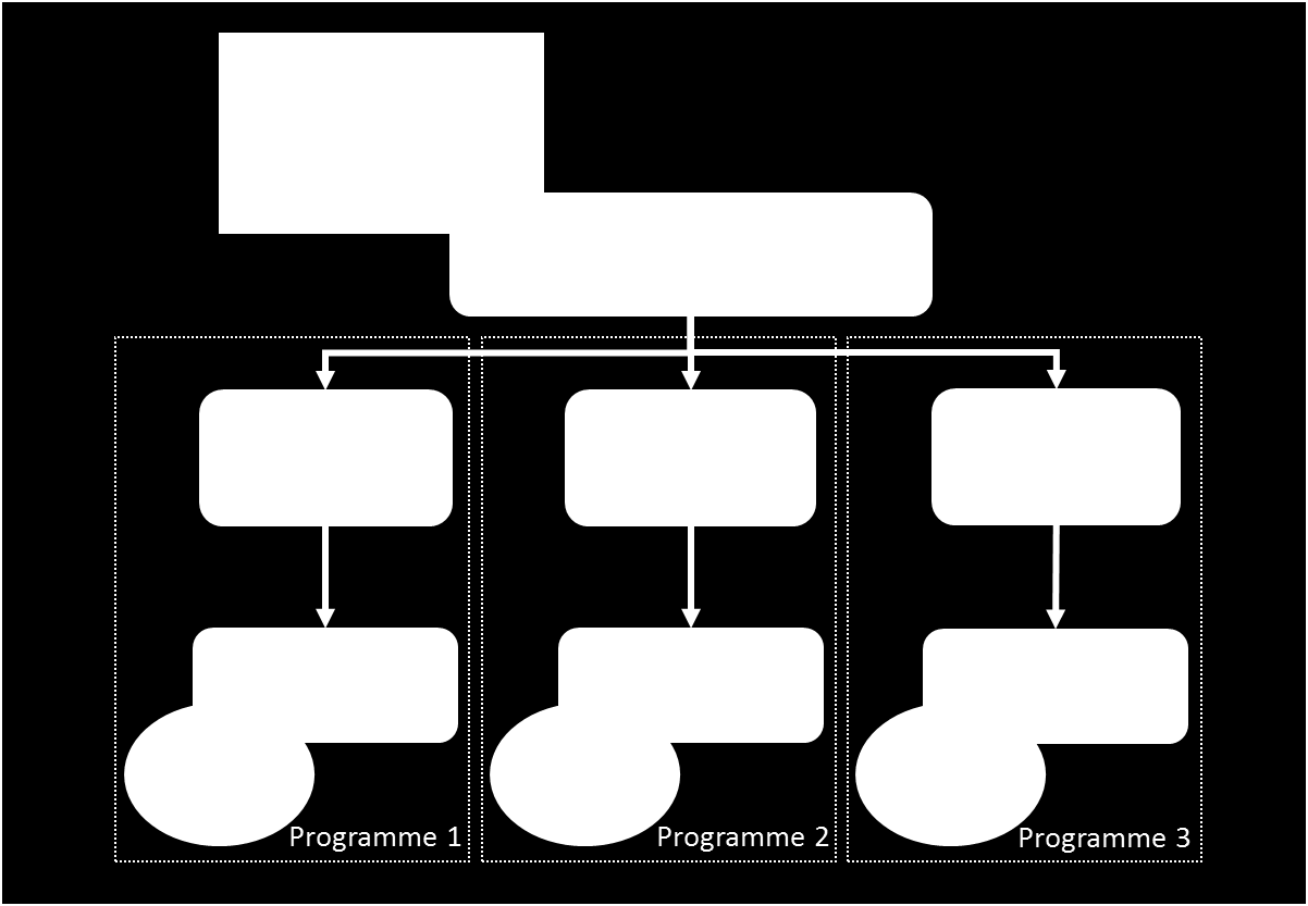 An example outline of a national governance structure covering the main tasks of policy-making,