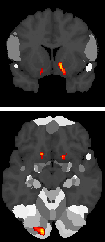 Cross-situational learning Reinforcement learning