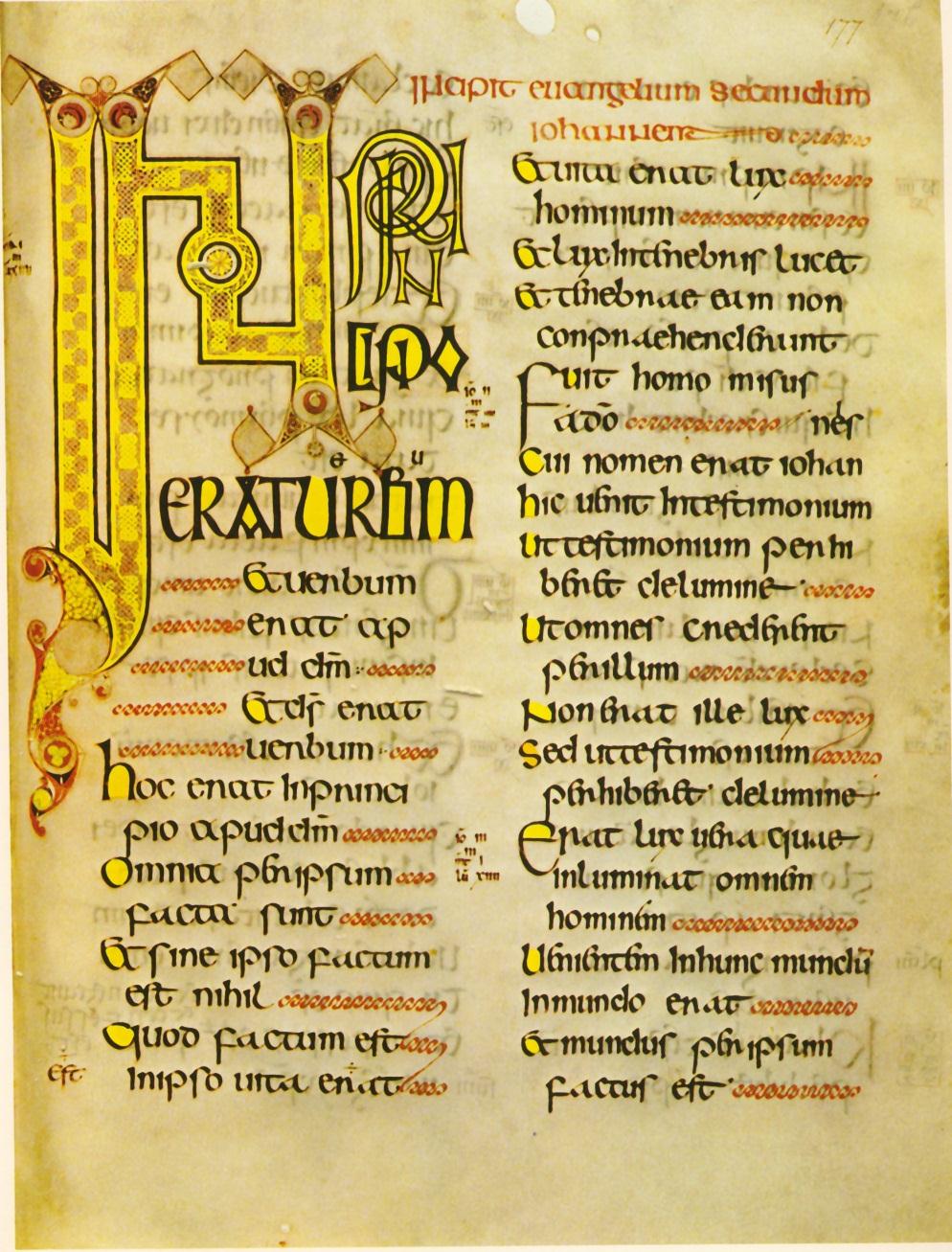Insulaarinen puoliunsiaali
