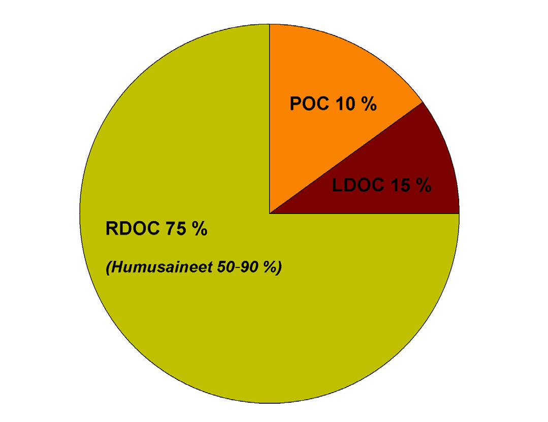 Kokonaishiili TOC (Total organic carbon) Liukoinen hiili DOC (Dissolved organic carbon) Partikkelimainen hiili POC (Particulate organic carbon) LDOC (Labile DOC) Yhdisteitä, joilla alhainen