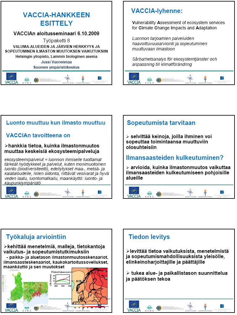 LIITE 3 Esitelmä