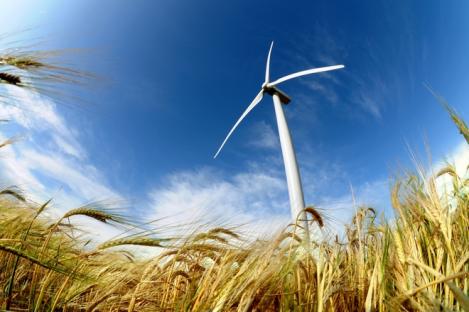 GreenStream lyhyesti Energiatehokkuushankkeiden rahoitukseen liittyvät palvelut (erityisesti Kiinassa) Rahastojen hallinnointi ja investoinnit ilmastomarkkinoilla ja uusiutuvan energian markkinoilla