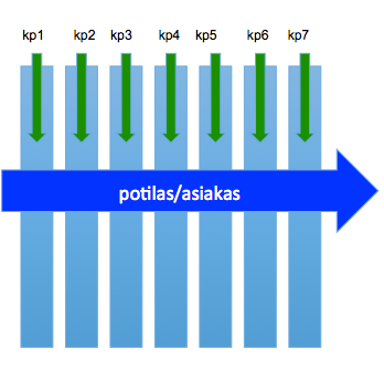 Tarvitaan potilaan mukana kulkevaa tietoa jota myös (IT-idiootti)