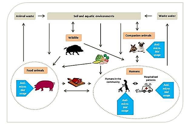 antimicrobial agents and occurrence of antimicrobial resistance in