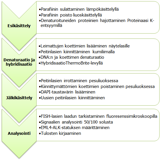 37 Taulukko 3. FISH-menetelmän työvaiheet. Jotta näytteiden visualisointi voidaan suorittaa luotettavasti, tulee visualisointimenetelmää valitessa pyrkiä herkkään ja erotuskykyiseen lopputulokseen.