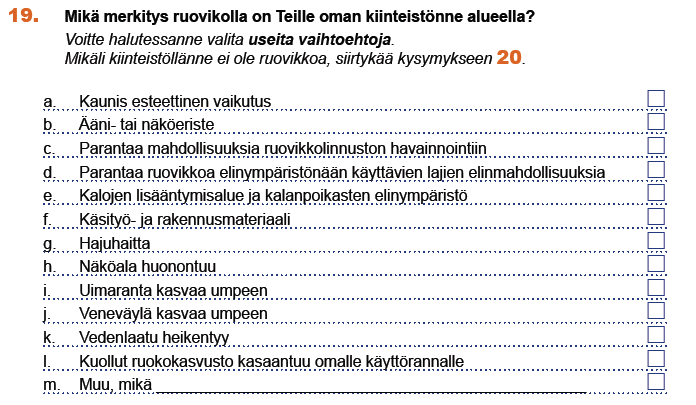Kun tarkastellaan samaisen piirroskysymyksen vastauksia Suomenlahden alueelta, painottuu vastausvaihtoehto B, "ruovikkoa esiintyy paikoittain", voimakkaasti (43 % vastauksista) (kuva 29).