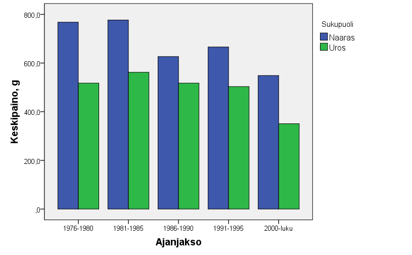 Kuva 7. Ivalojoen emokalapyynneissä saatujen pohjasiikojen keskipaino eri ajanjaksoina erikseen naaraille ja koiraille (n=5506).