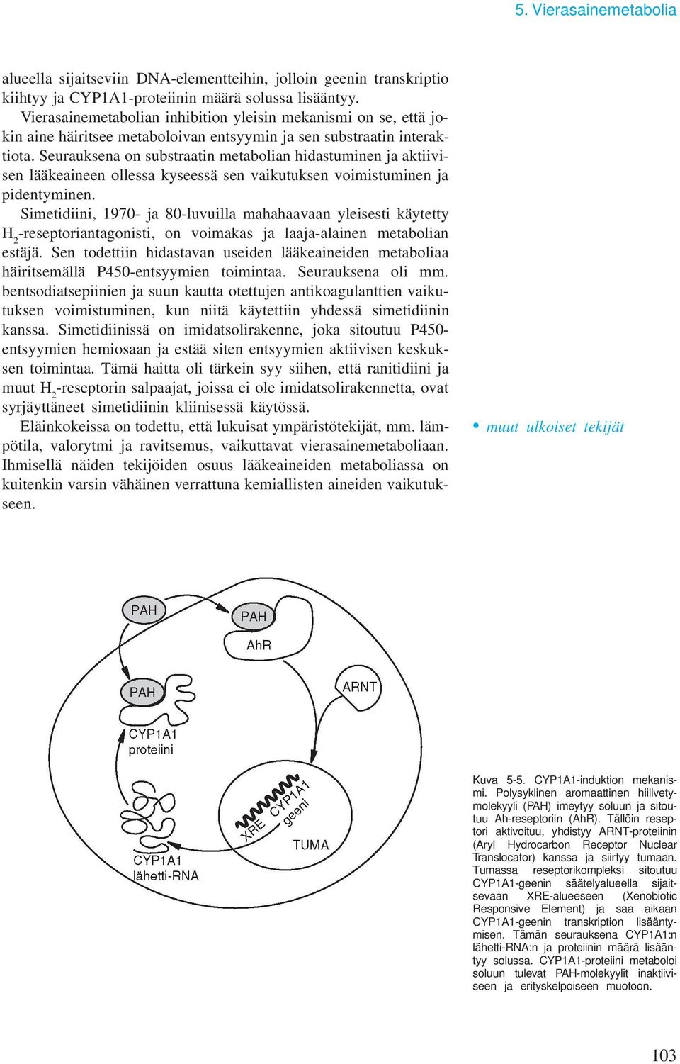 Seurauksena on substraatin metabolian hidastuminen ja aktiivisen lääkeaineen ollessa kyseessä sen vaikutuksen voimistuminen ja pidentyminen.