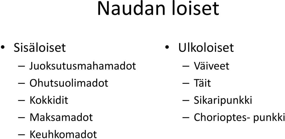 Kokkidit Maksamadot Keuhkomadot
