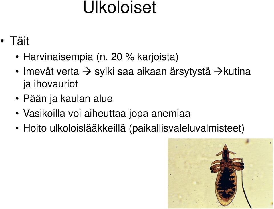 kutina ja ihovauriot Pään ja kaulan alue Vasikoilla voi