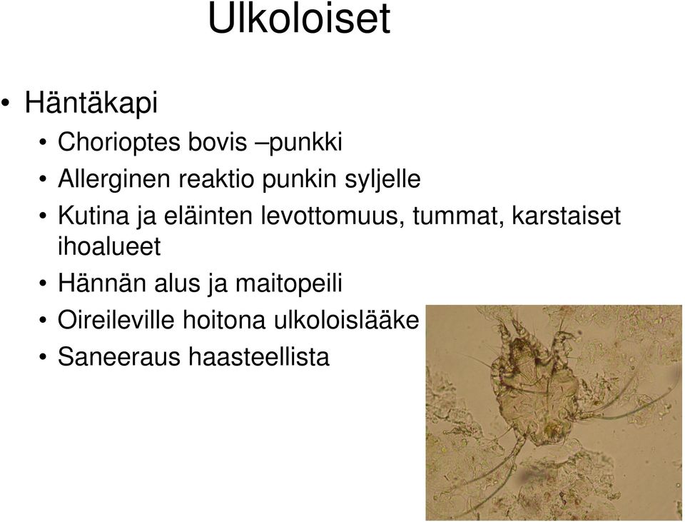 tummat, karstaiset ihoalueet Hännän alus ja maitopeili