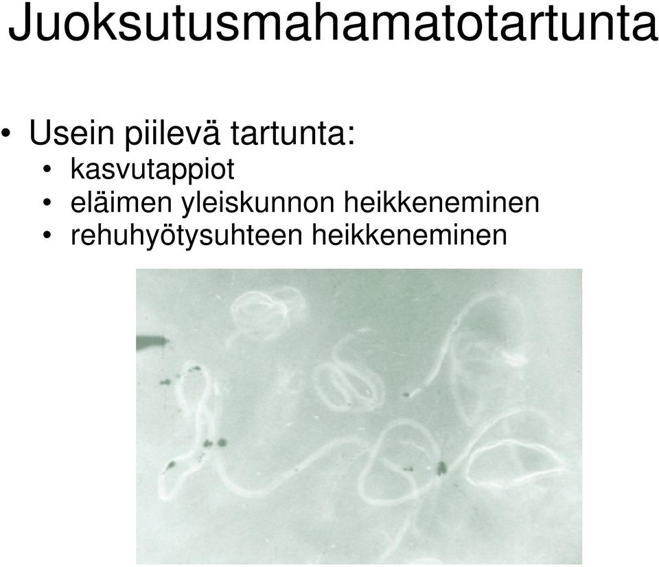 eläimen yleiskunnon