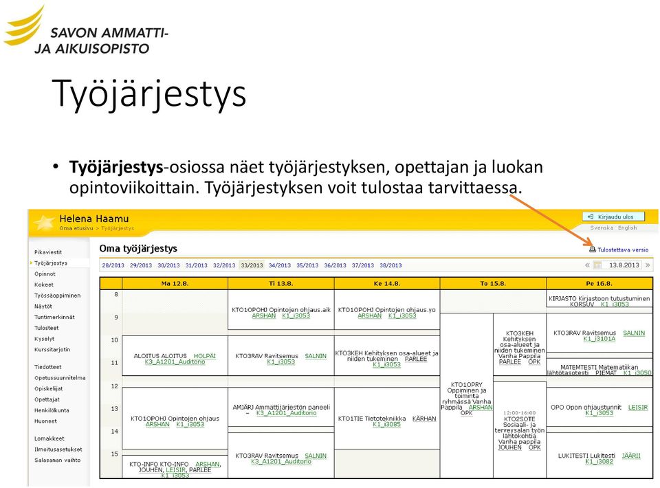 luokan opintoviikoittain.